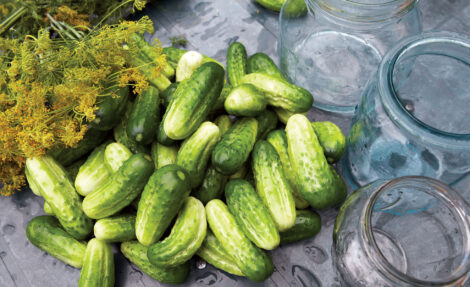How to Make Pickles Image